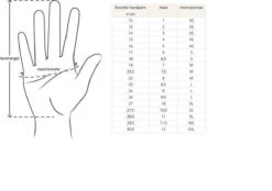 Merkloos Handschoenen - Touchscreen - Grip - Waterafstotend - Thermisch - Wintersport - Ski/Snowboardhandschoenen - Fietshandschoenen - Dames - Maat M - Stretch - Roze -Fietsaccessoires Winkel 1200x846 1